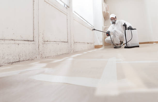 24/7 Emergency Mold Remediation experts in North Puyallup, WA