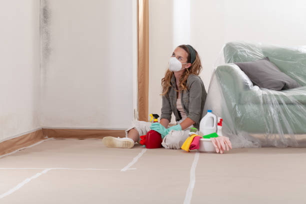 Reliable Mold Remediation contractor in North Puyallup, WA by 24 Hour Mold Removal